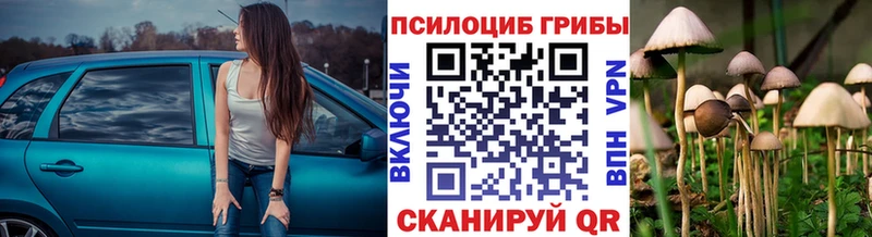 Псилоцибиновые грибы Magic Shrooms Ревда
